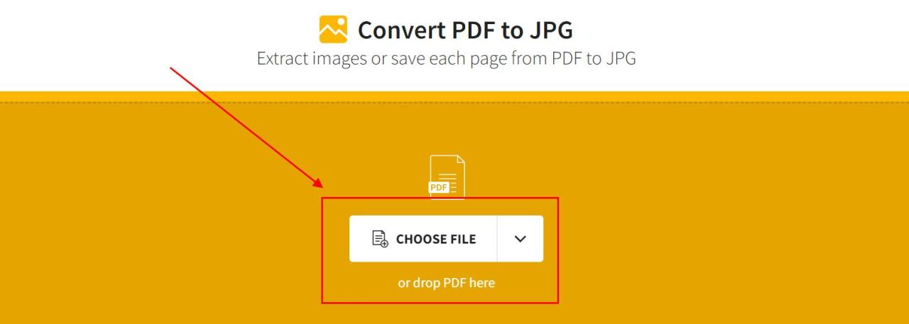 How to Convert PDF to JPG Online and Offline- WPS PDF Blog