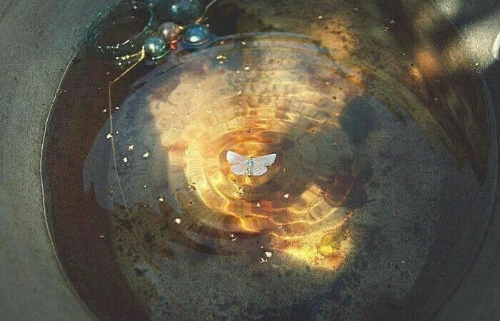 Explain America | Facebook